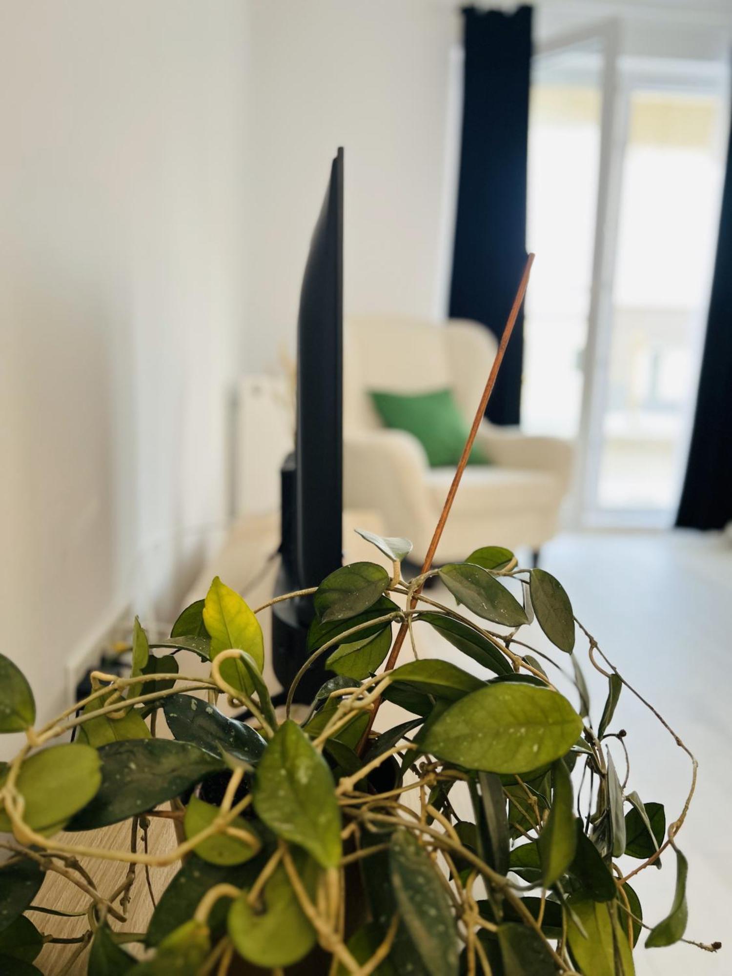 Airport Gardens Loft Lejlighed Otopeni Eksteriør billede